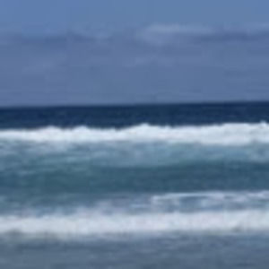 Meet your Posher, Genevieve